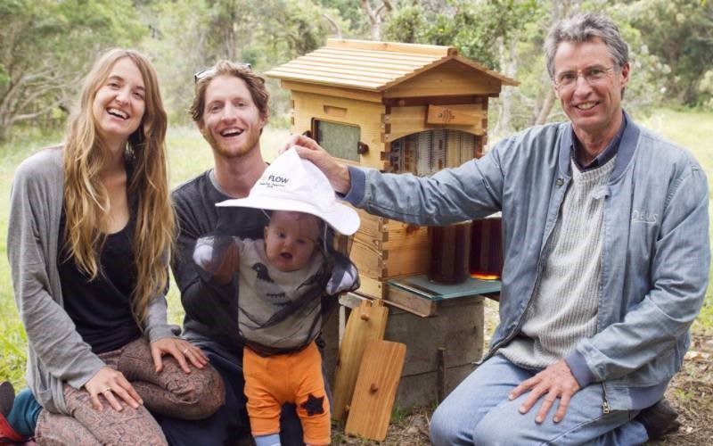 Flow Hive – Doing business for positive purpose flow hive - business for a purpose