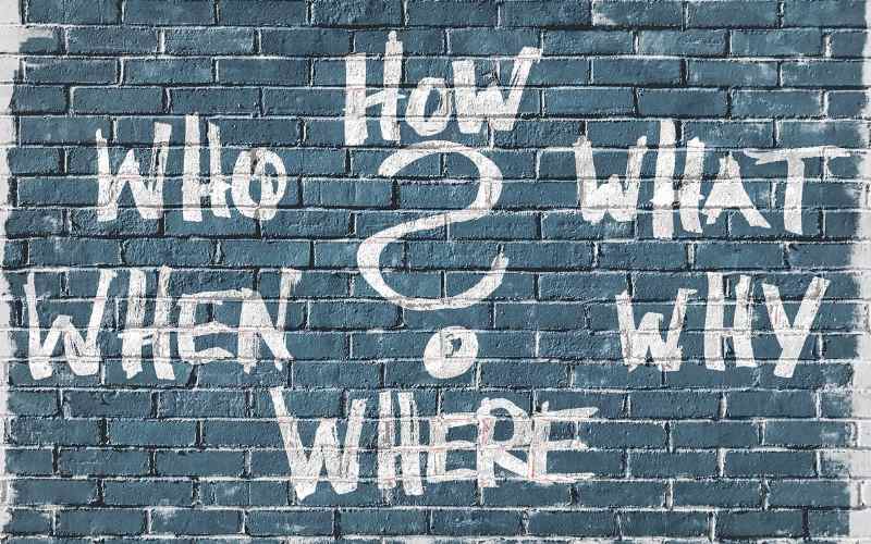 Curiosity, Innovation and the Customer Experience curiosity customer experience