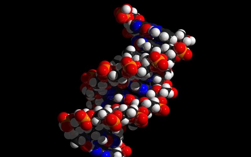Making accessibility part of your digital DNA