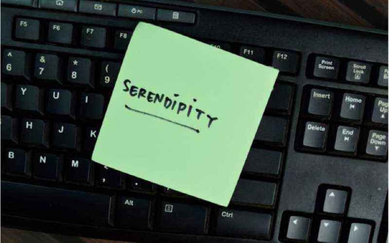 Orchestrating serendipity to elevate the customer experience