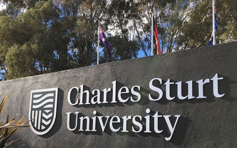 Creating student-first experiences: CSU’s Journey to proactive, empathetic support student first experience